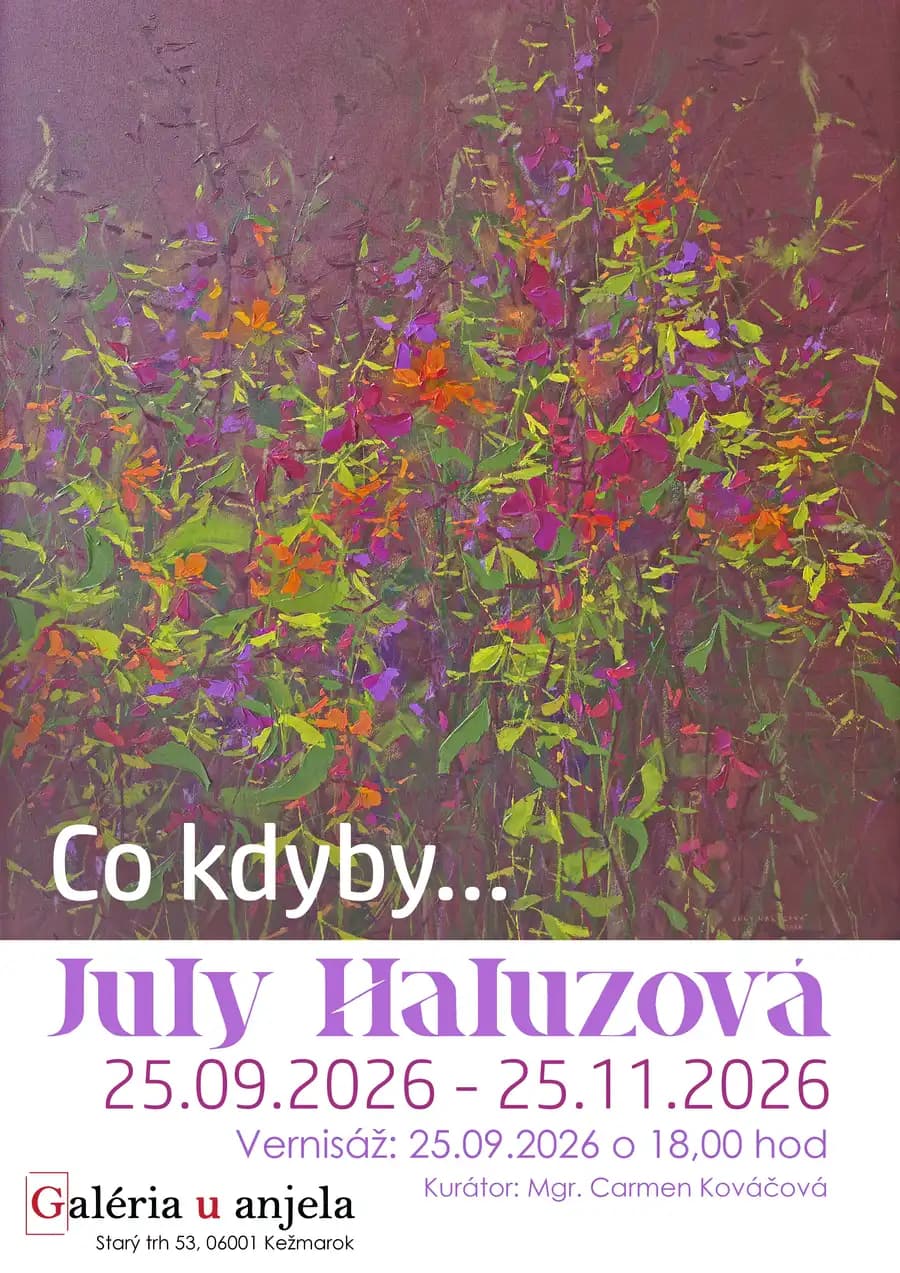 July Haluzová - Co kdyby...
