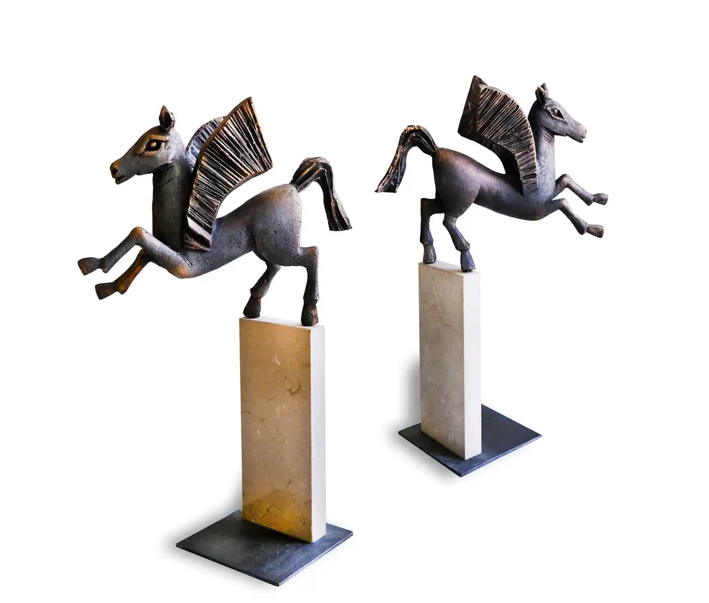 Radosť Pegasa